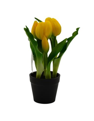 Kwiat Tulipan w doniczce 22cm VIP1735 mix