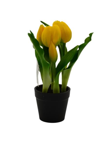 Kwiat Tulipan w doniczce 22cm VIP1735 mix