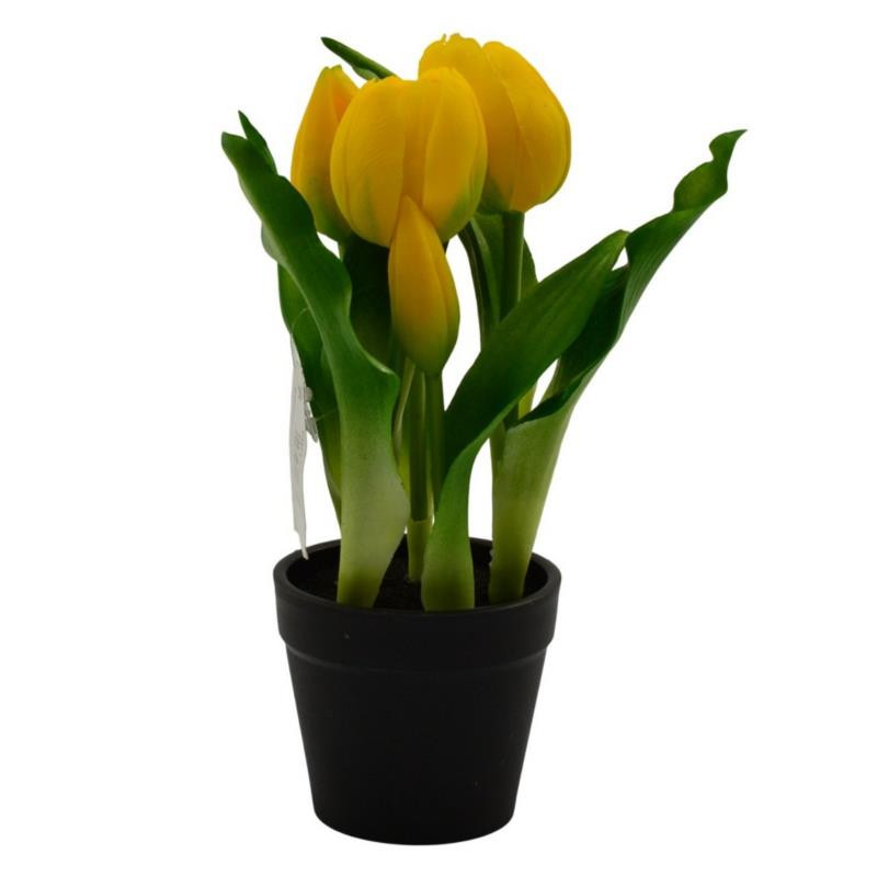 Kwiat Tulipan w doniczce 22cm VIP1735 mix